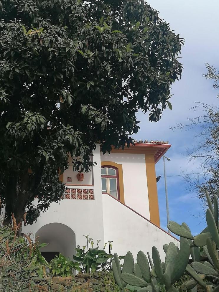 Quinta Do Americano Sardoal Exterior photo